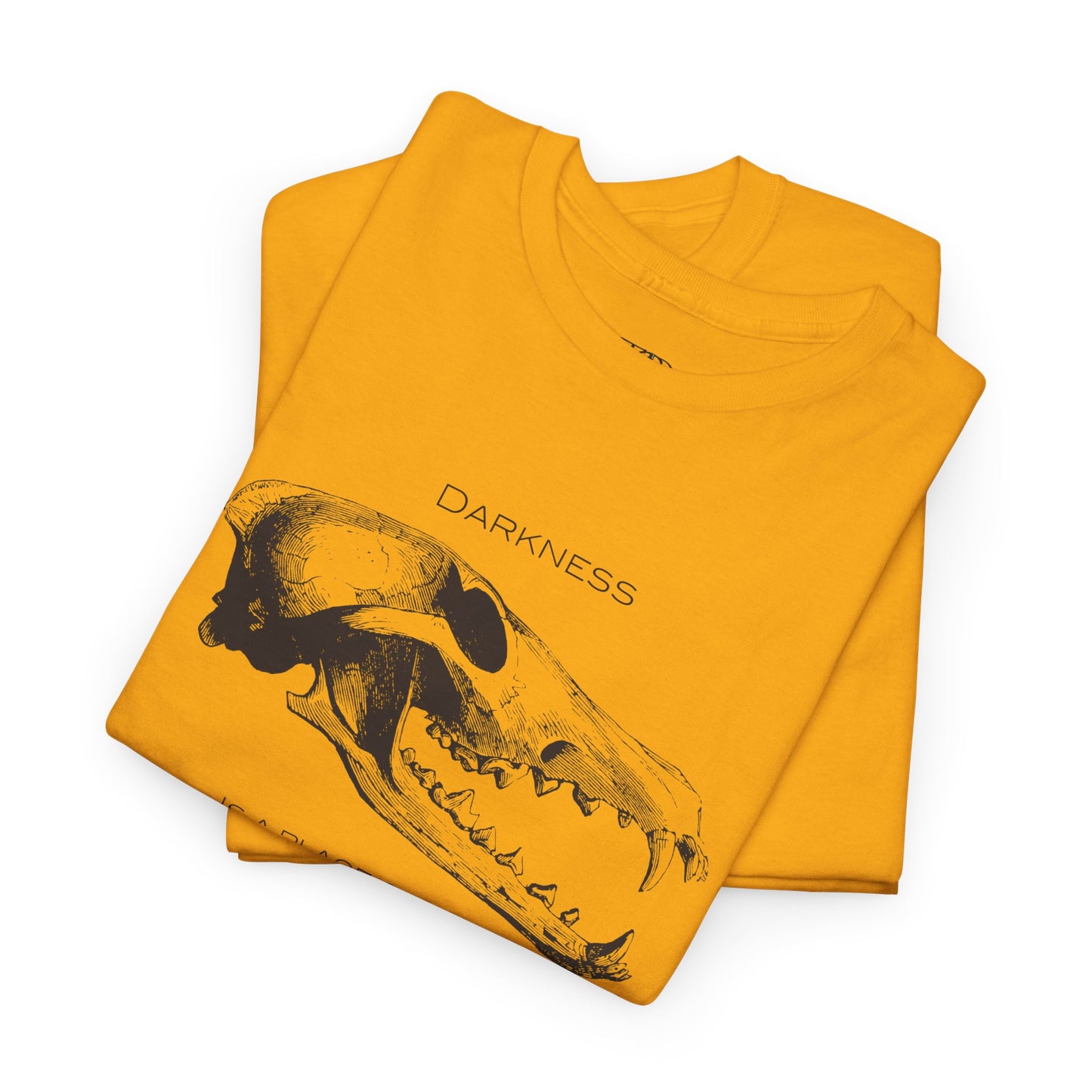 DARKNESS - Unisex Heavy Cotton Tee