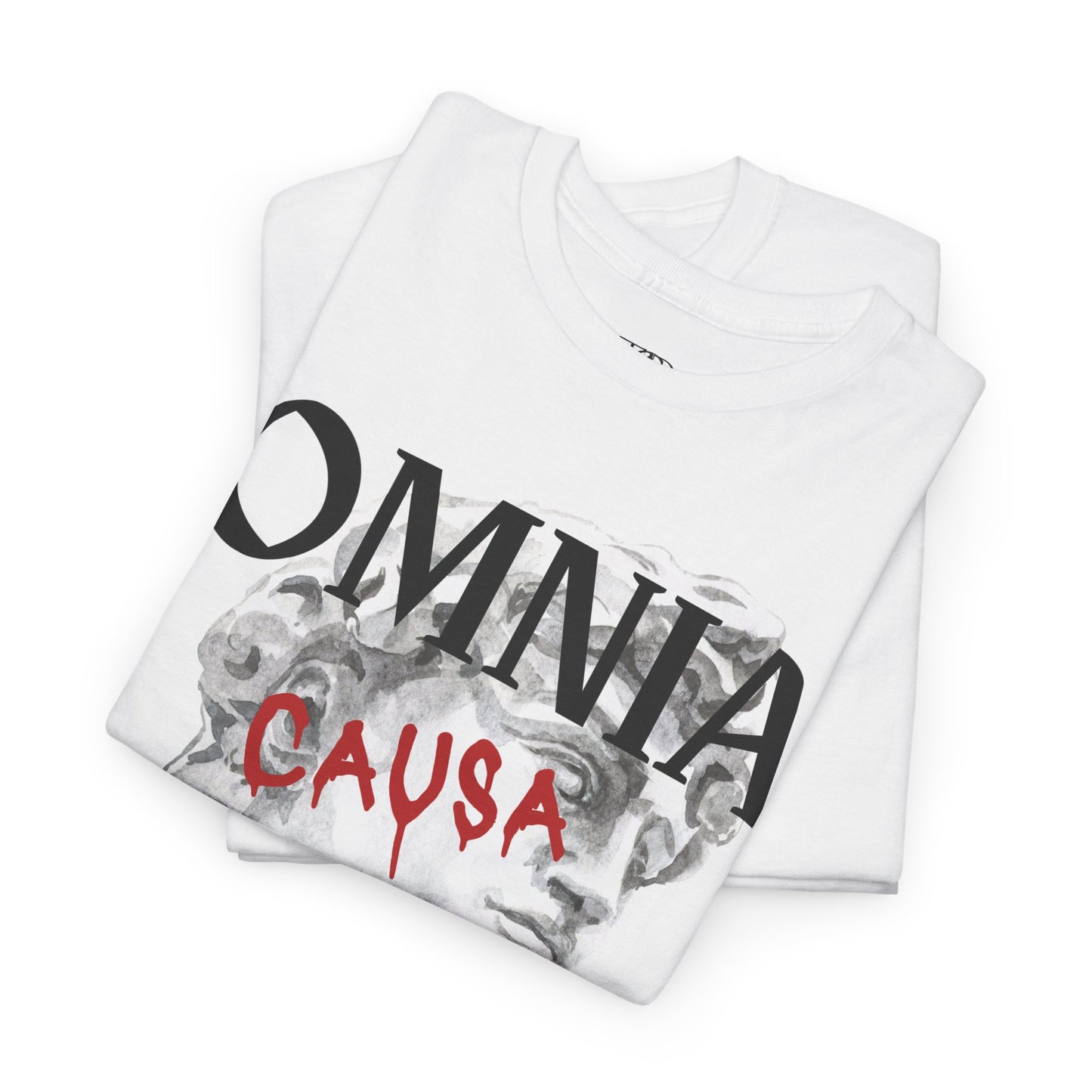 Omnia causa fiunt (everything happens for a reason ) - Unisex Heavy Cotton Tee