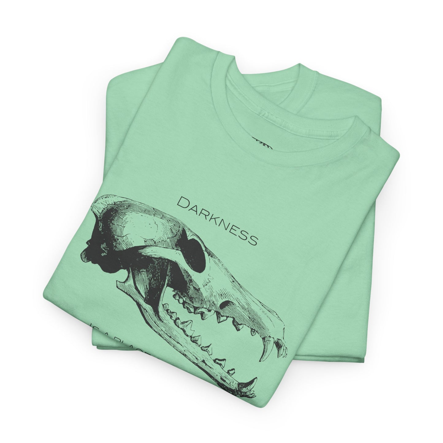 DARKNESS - Unisex Heavy Cotton Tee