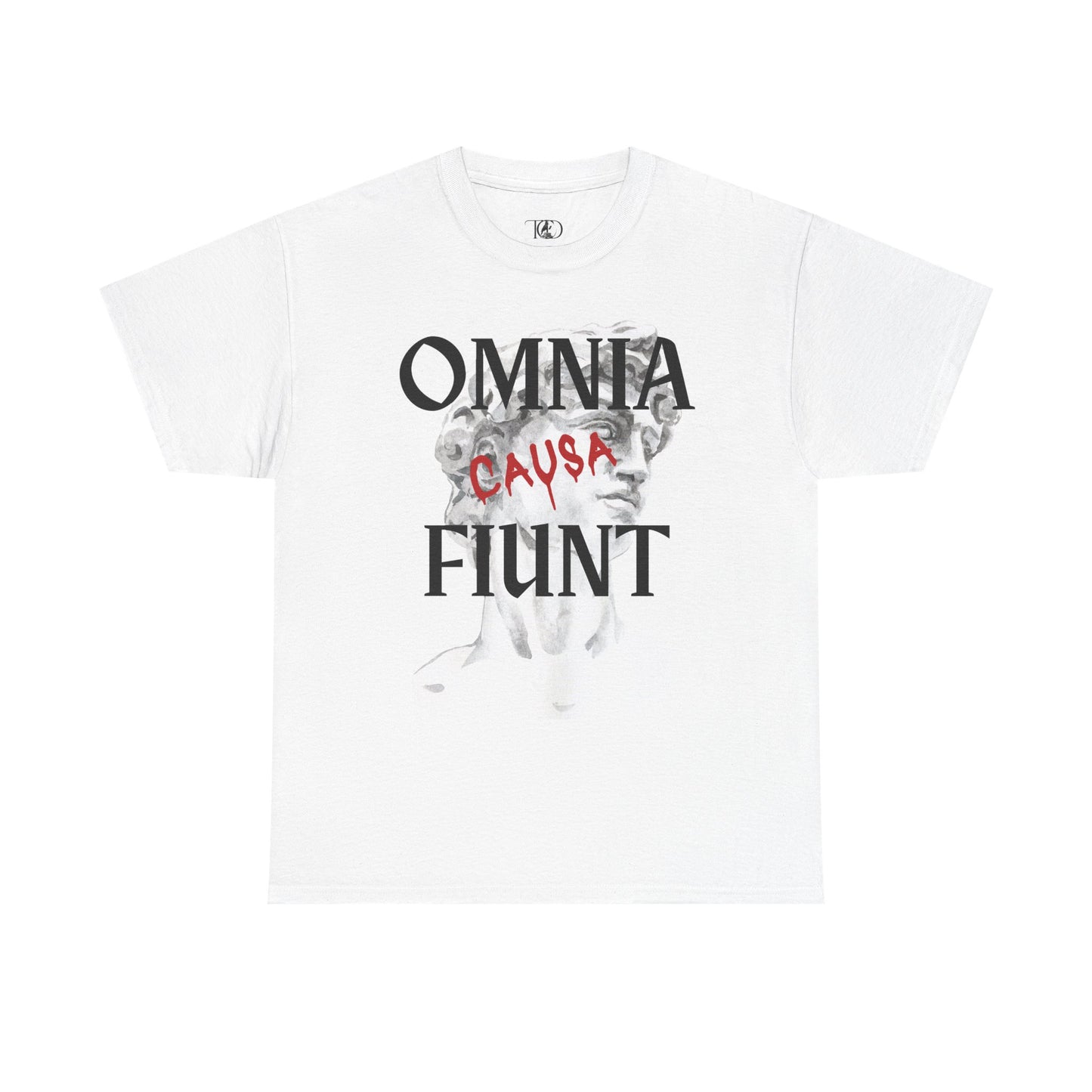 Omnia causa fiunt (everything happens for a reason ) - Unisex Heavy Cotton Tee